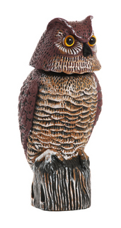 Fågelskrämma Guard Owl Uggla
